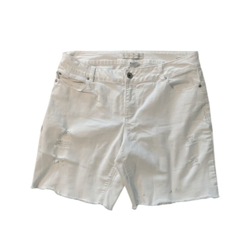 Cato contemporary women’s white shorts size 12